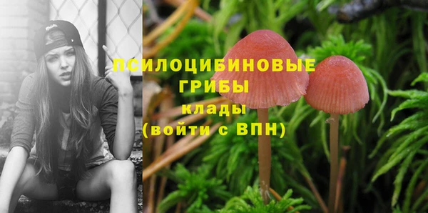 ГАЛЛЮЦИНОГЕННЫЕ ГРИБЫ Волоколамск