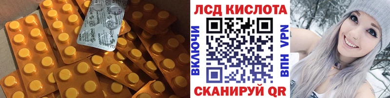 купить наркотик  дарк нет какой сайт  Лсд 25 экстази ecstasy  Каргат 