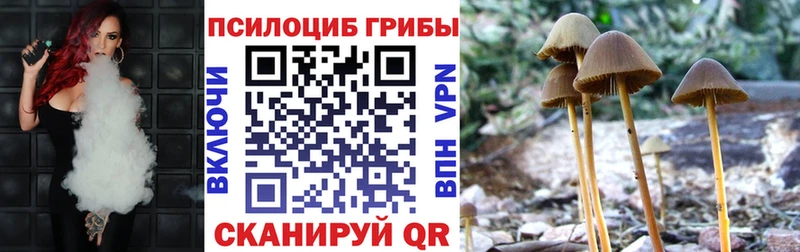 Галлюциногенные грибы мицелий  omg   Каргат 